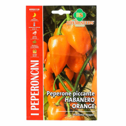 Habanero Pepper - Hot Orange