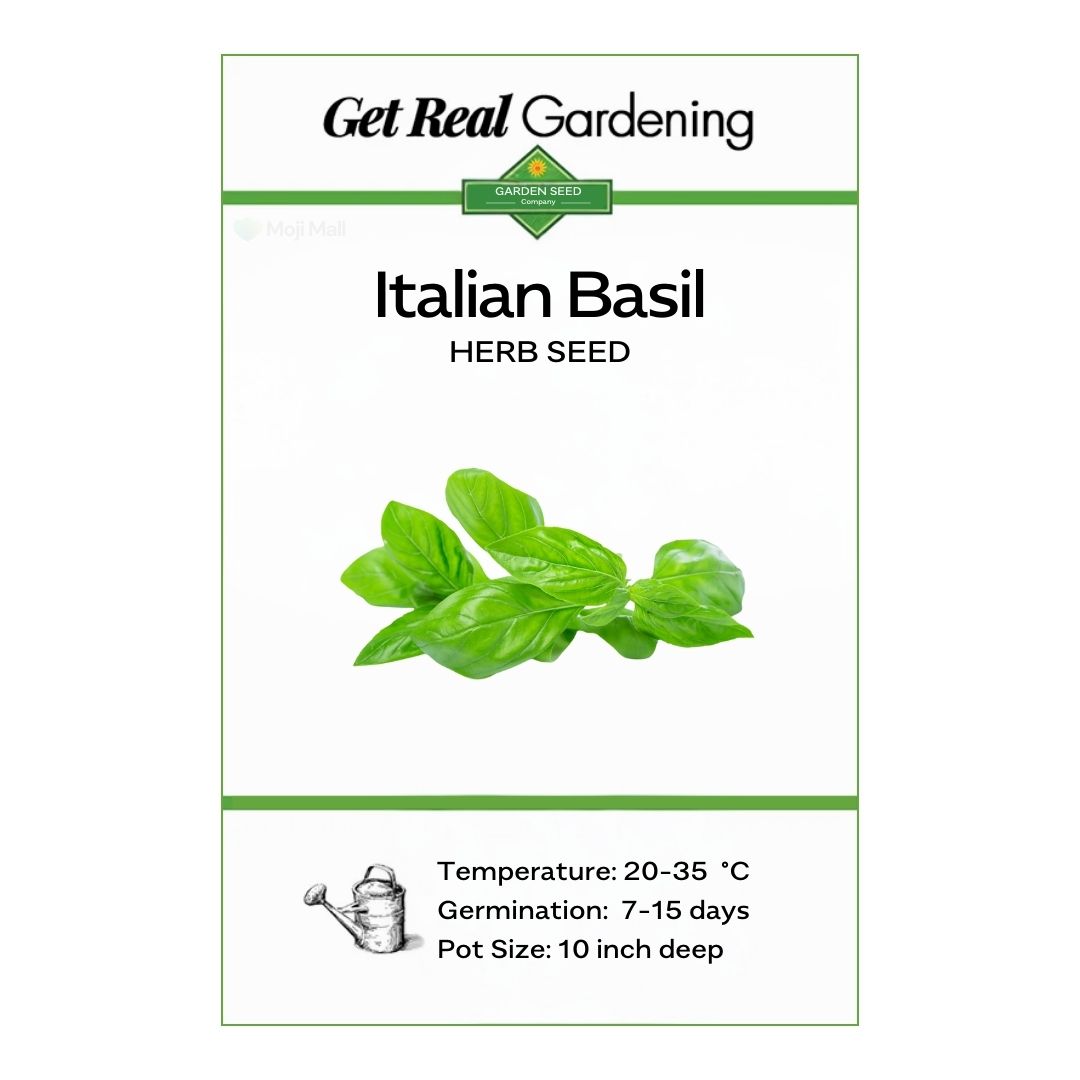 Italian Basil – 30+ Seeds