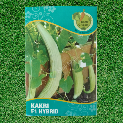 Armenian cucumber (Kakri, ککڑی) - F1 Hybrid - 15+ Seeds