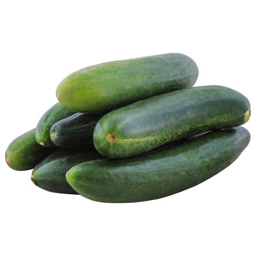 Cucumber – 50+ Seeds