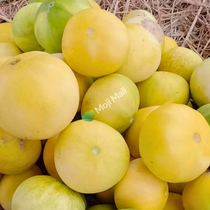 Melon (خربوزہ) 50+ Seeds