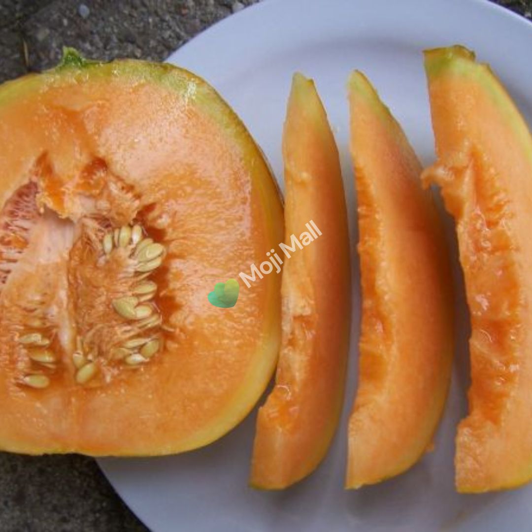 Melon Orange Ananas - 15 Seeds (SWEET)