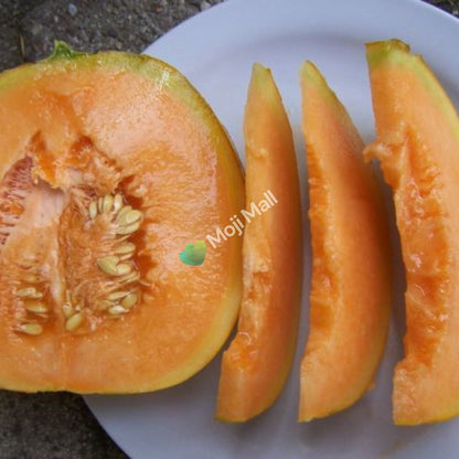 Melon Orange Ananas - 15 Seeds (SWEET)