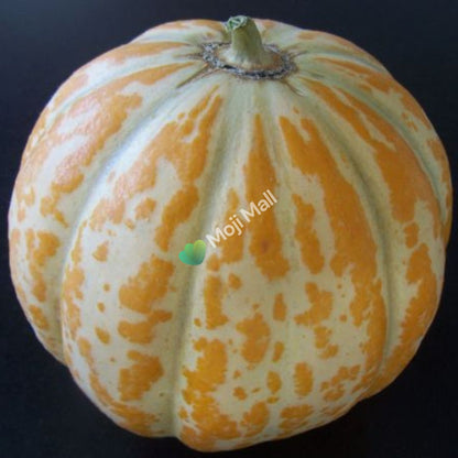Melon Orange Ananas - 15 Seeds (SWEET)