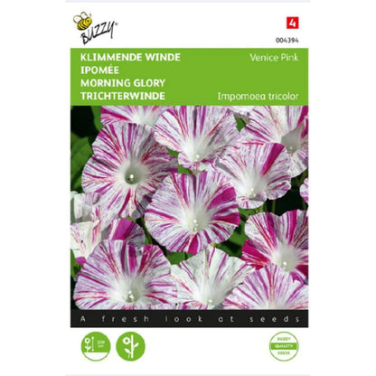 Morning Glory (Venice Pink) – Buzzy Seeds (Imported - Limited Pack)-Moji Mall