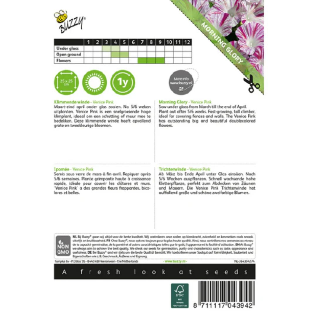 Morning Glory (Venice Pink) – Buzzy Seeds (Imported - Limited Pack)-Moji Mall