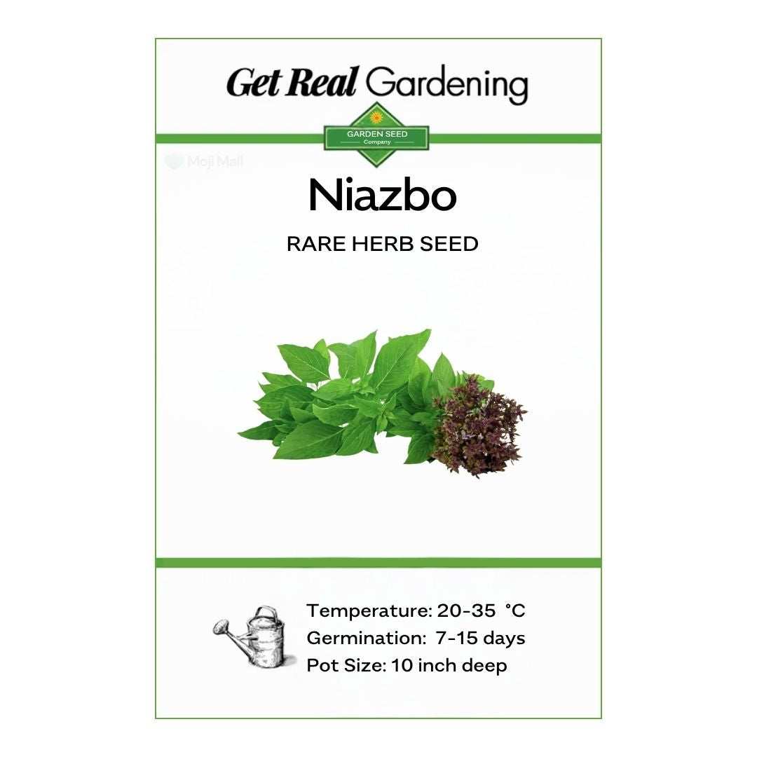Niazbo (Sweet Basil) 50+ Seeds