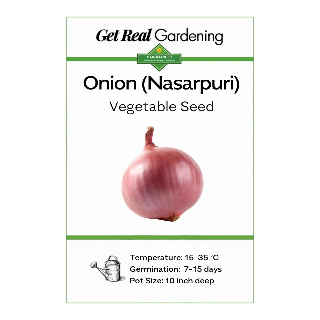 Onion Nasar-puri – 300+ Seeds