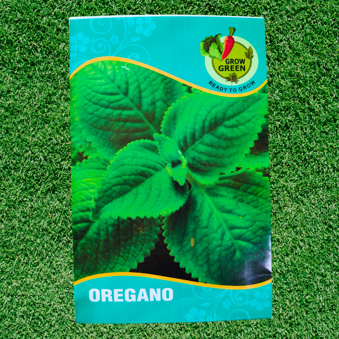 Oregano - Seeds