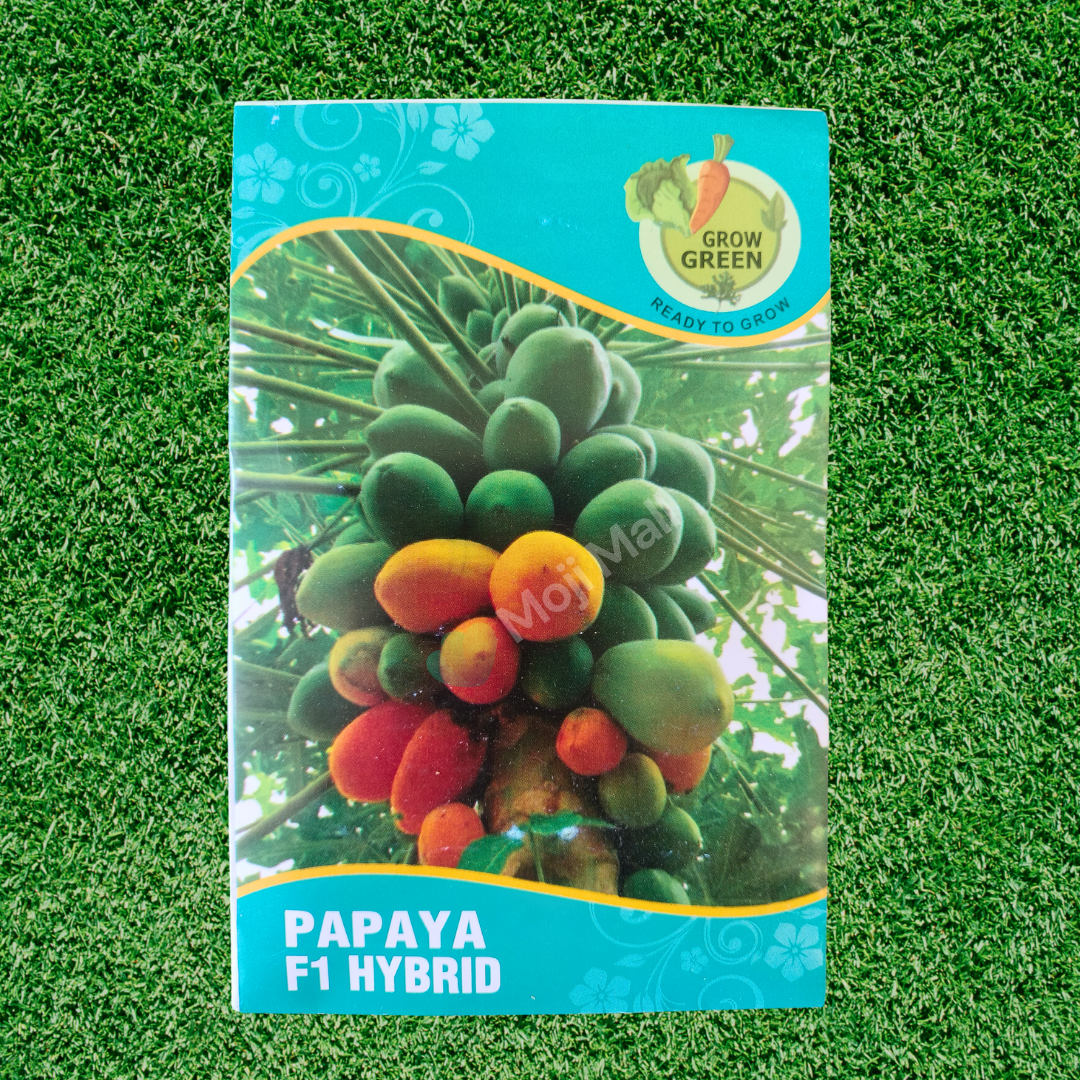 Papaya (Papita, پپیتا) - Red Lady F1  Hybrid - 5 Seeds