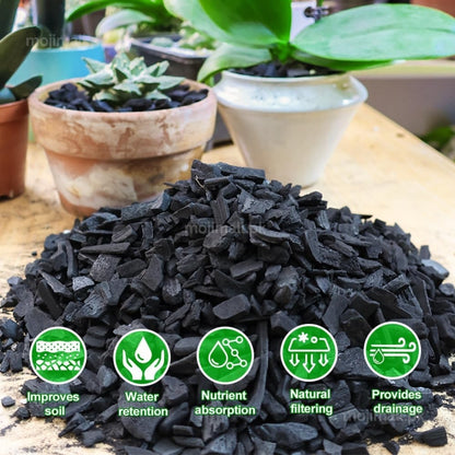 Coal Chips