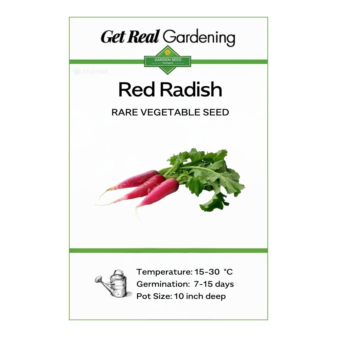 Radish (Red Long) 40+ Seeds