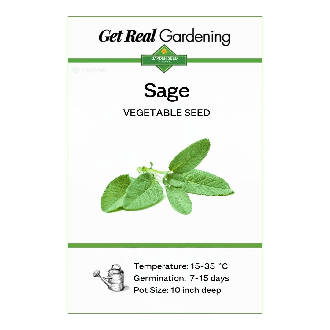 Sage – 12 Seeds