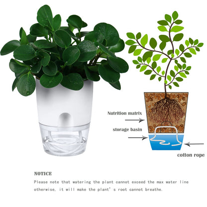 Self Watering Pots – White
