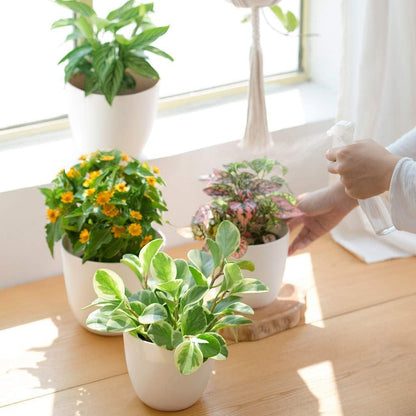 White Pots - Small (3 inchx3 inch)