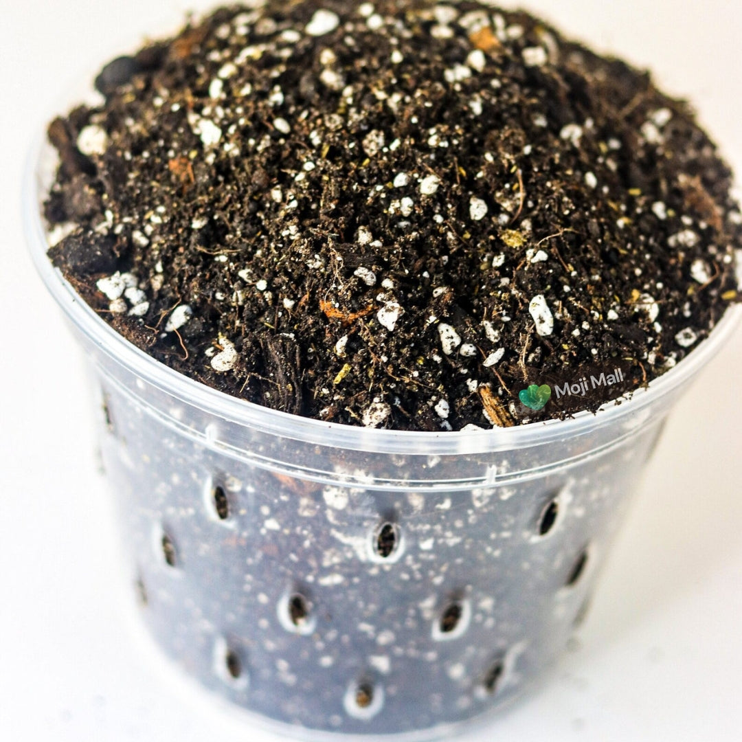 Potting Mixes & Soil