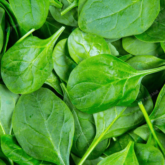 Spinach (دیسی پالک کے بیج) – 600+ Seeds
