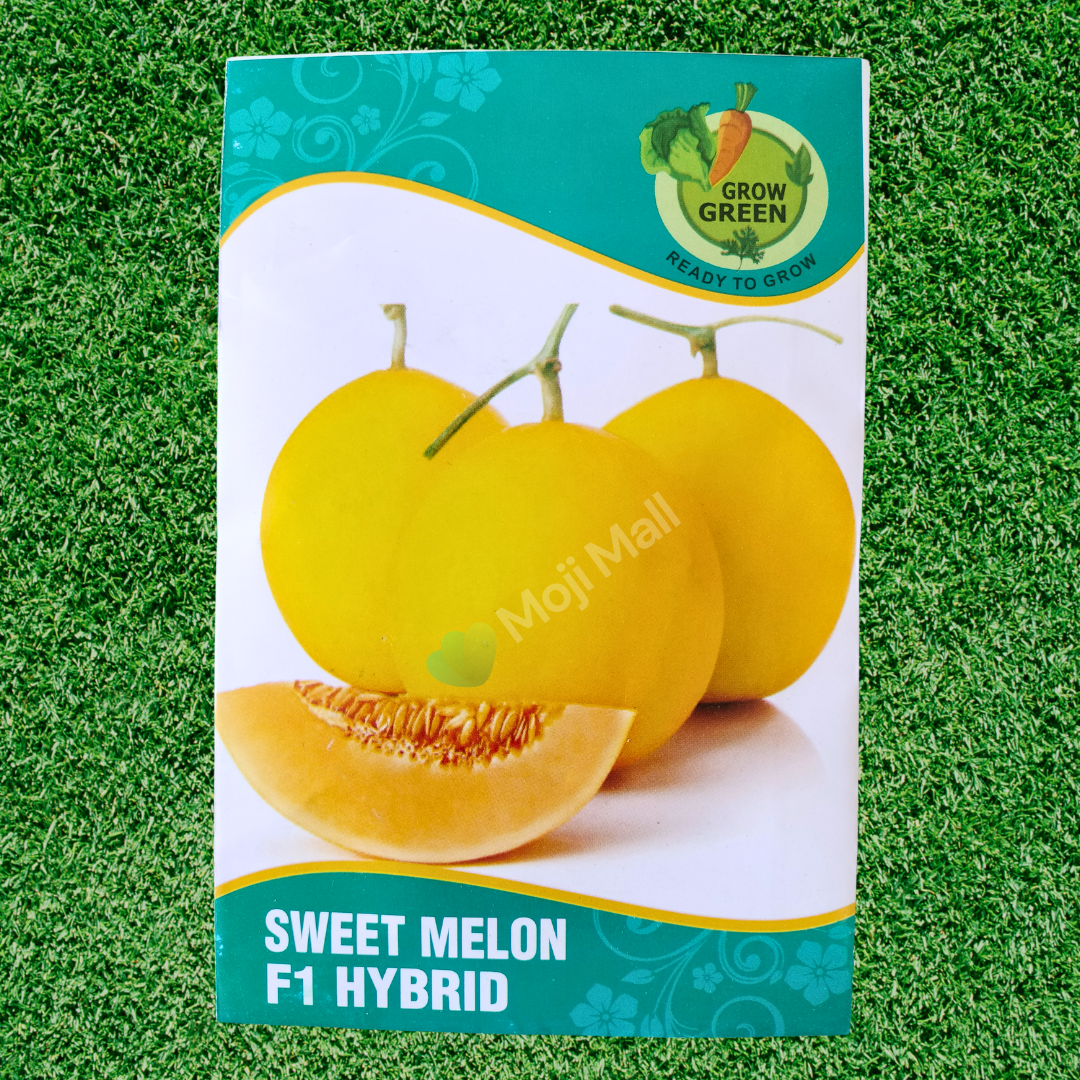 Sweet Melon (Kharbooza, خربوزہ) - F1 Hybrid Seeds