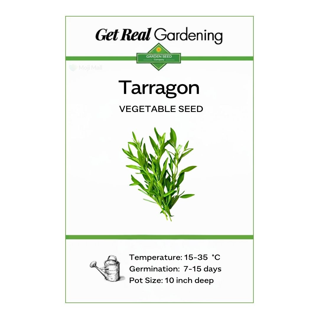 Tarragon – 50+ Seeds