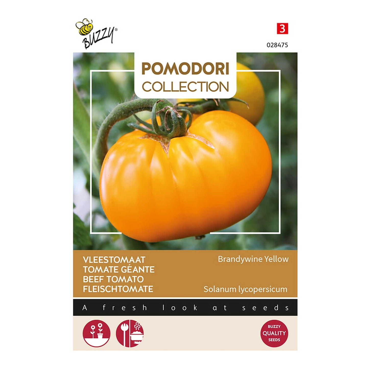 Pomodori Brandywine Yellow – Buzzy Seeds (Imported - Limited Stock)
