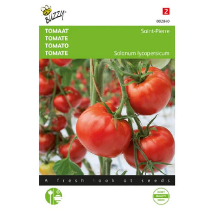 Tomato (Saint Pierre) – Seeds (Limited- imported pack)