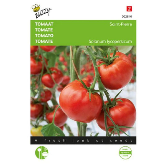 Tomato (Saint Pierre) – Seeds (Limited- imported pack)