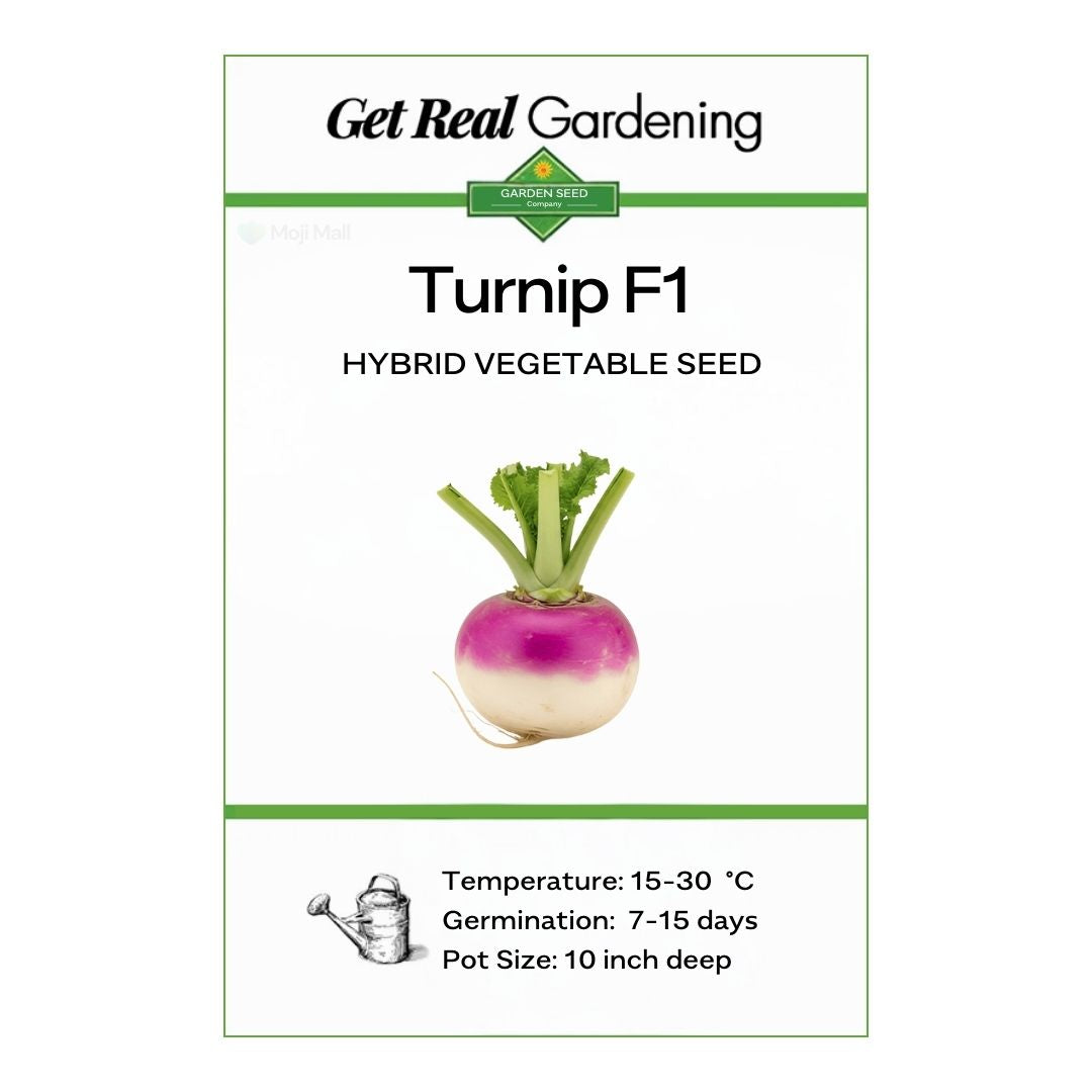 Turnip Purple – F1 Hybrid 200+ Seeds