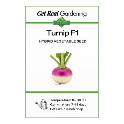Turnip Purple – F1 Hybrid 200+ Seeds