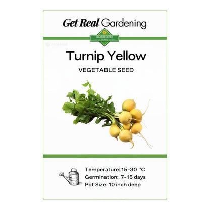 Turnip Yellow (دیسی پیلے شلجم کے بیج) – 200+ Seeds