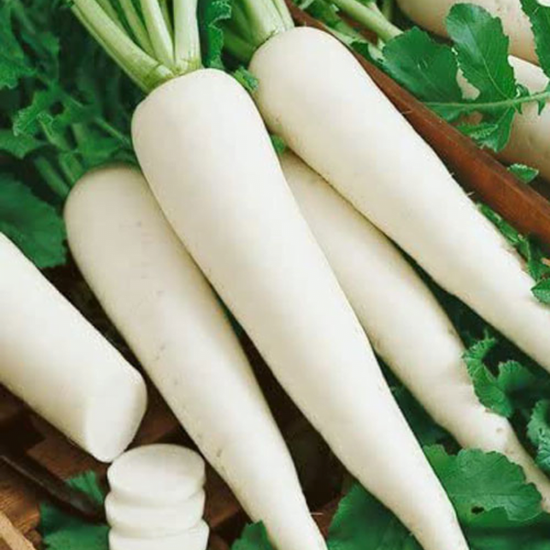 Radish White - 130+ Seeds