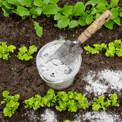Wood Ash (Pure)