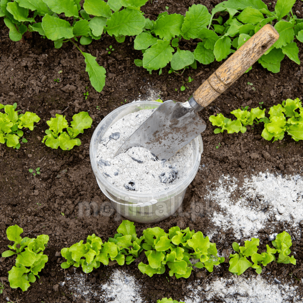 Wood Ash Pure – Organic Potassium Boost for Soil Health – Moji Mall