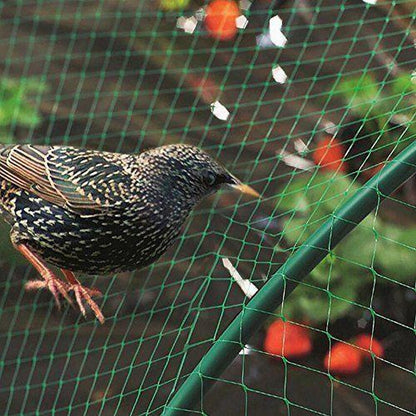 Anti Bird net - 2x10m