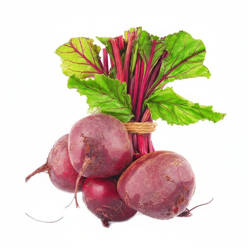Bunch of beets with green leaves on a white background