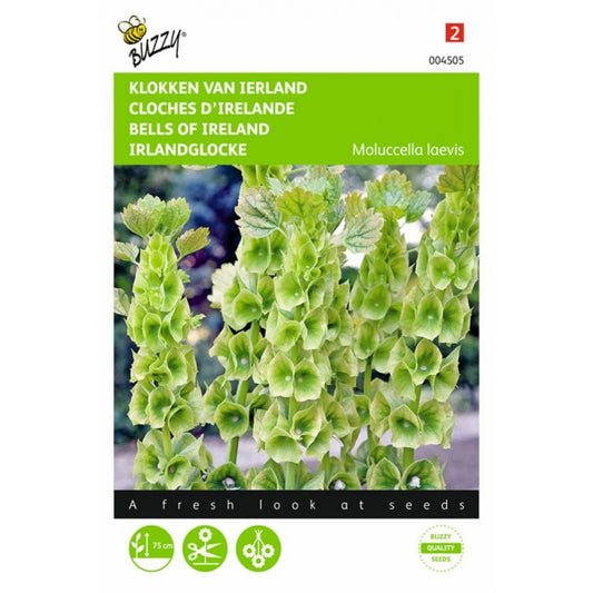 Bells of Ireland – Buzzy Seeds (Imported - Limited Stock)