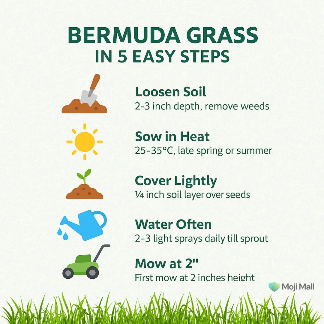 Bermuda Grass - Hybrid Seeds