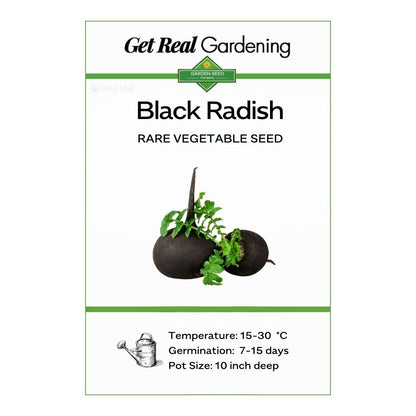 Radish (Black) 40+ Seeds