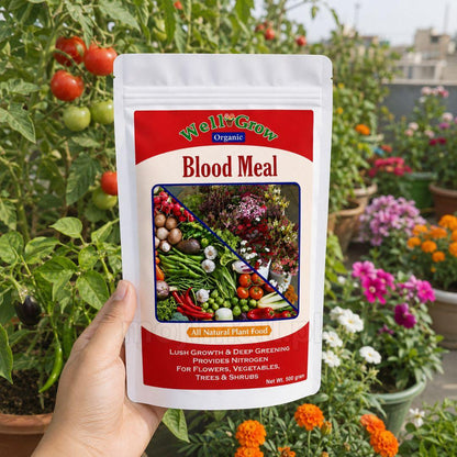 Blood Meal – Organic Fertilizer