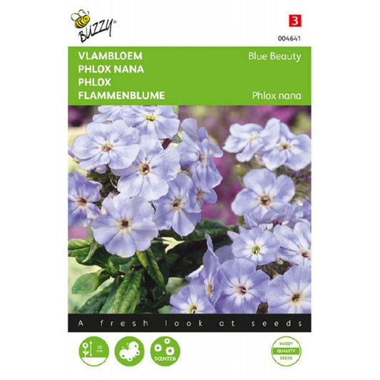 Phlox Blue Beauty – Buzzy Seeds (Imported - Limited Stock)
