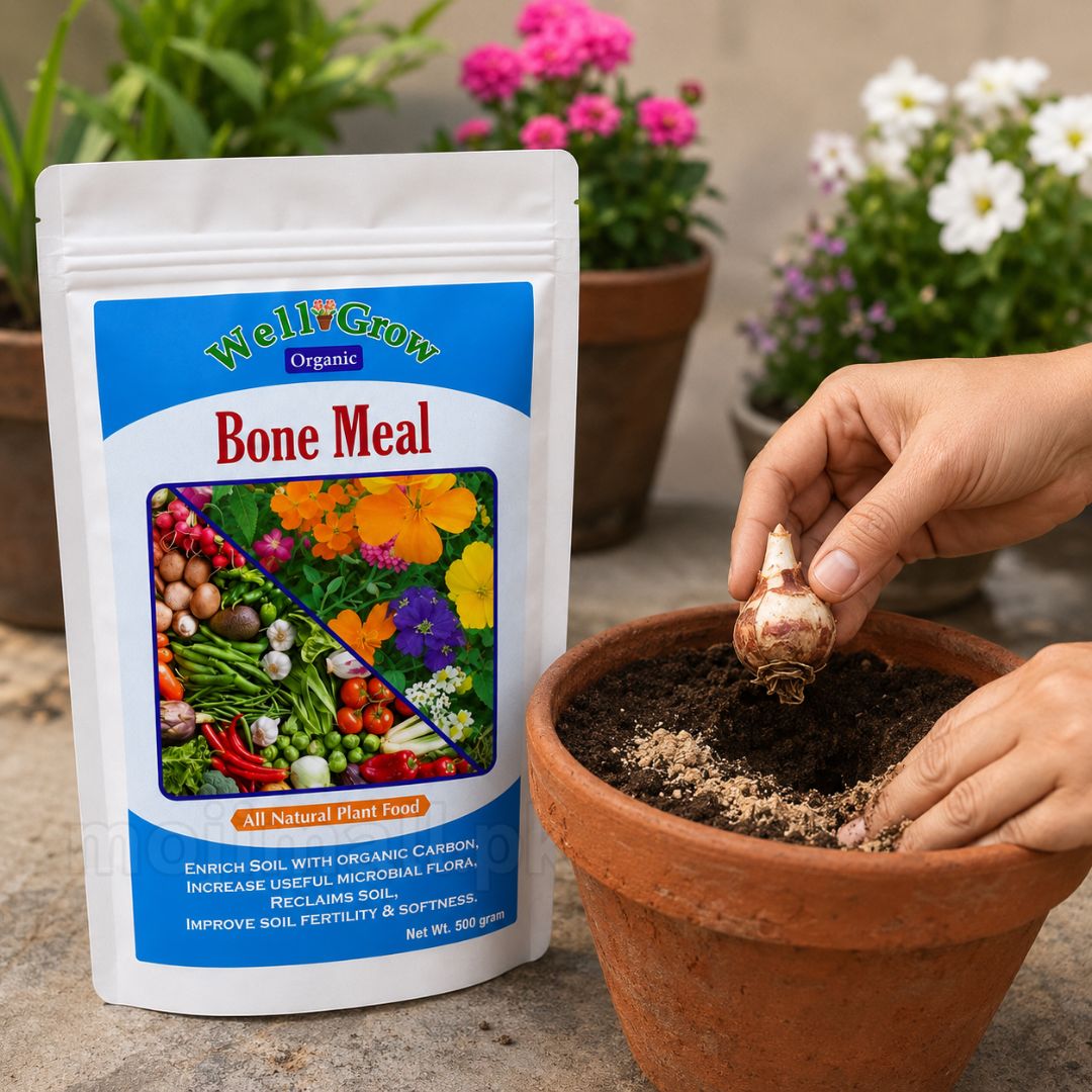 Bone Meal – Organic Fertilizer