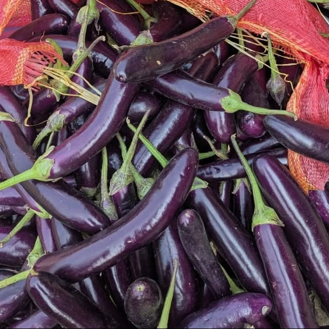Purple eggplants with green stems on a red fabric background