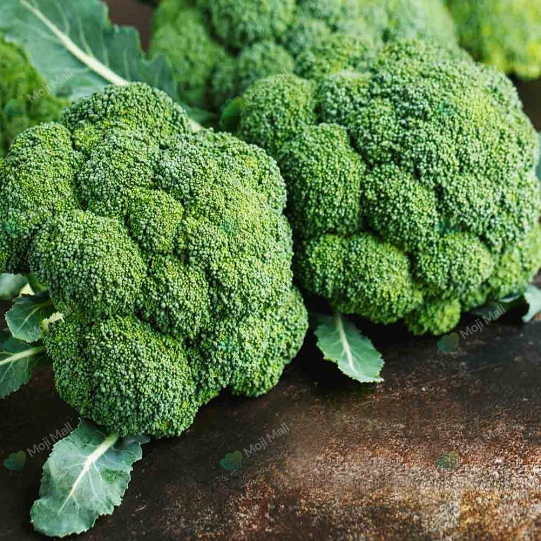 Winter Vegetables Seeds (سردیوں کی سبزیوں کے بیج)