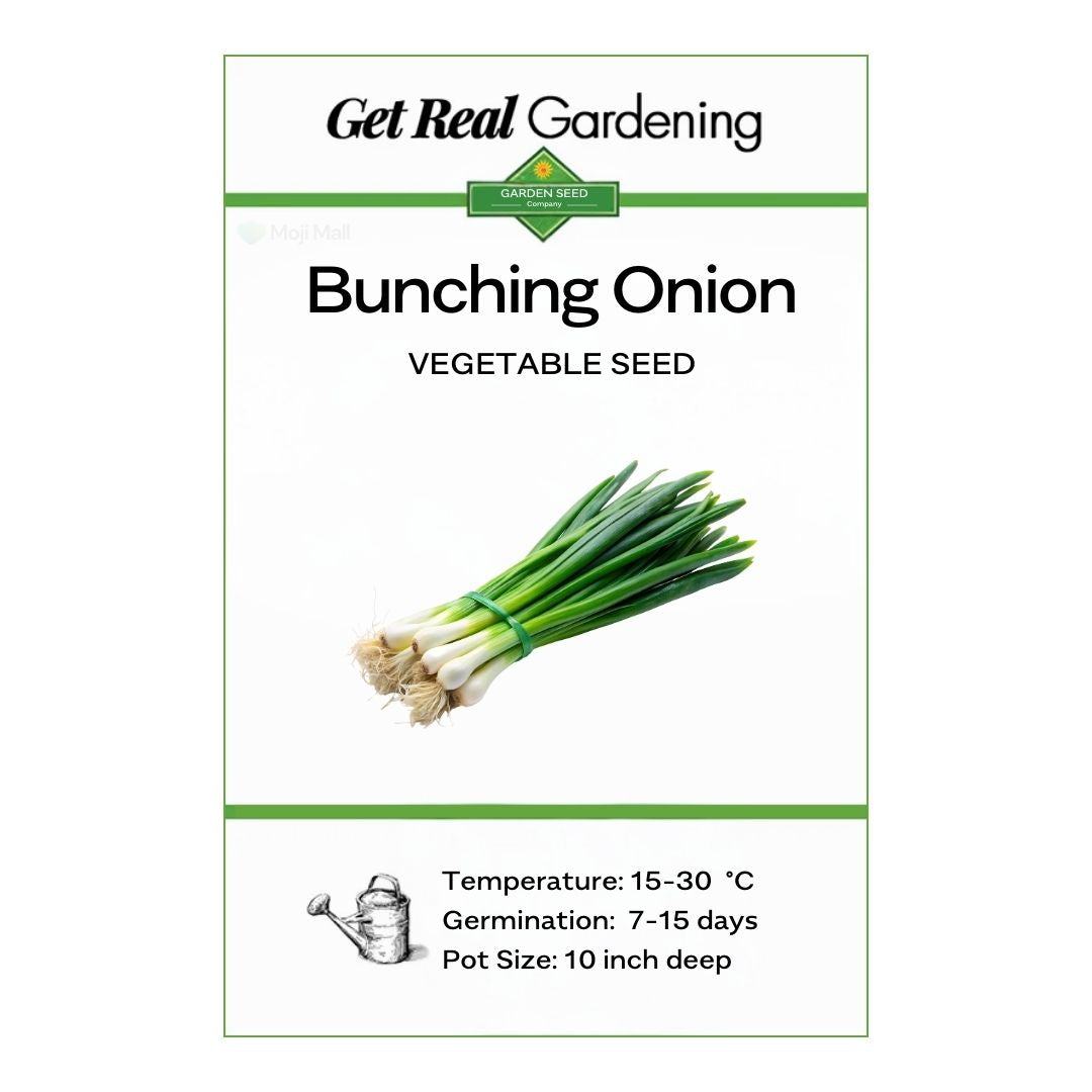 Bunching Onion vegetable seed packet with green onions on a white background