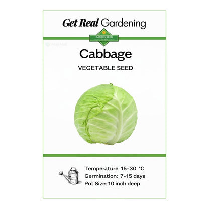 Cabbage (دیسی بند گوبھی کے بیج) – 70+ Seeds