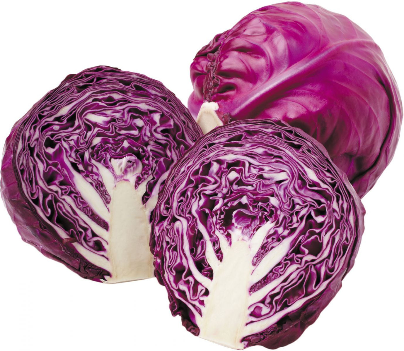 Cabbage Red – 30+ Seeds