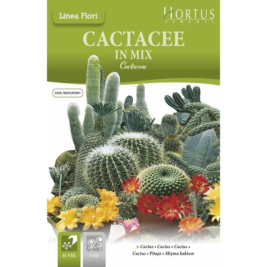 Cactus Mix – Royal Seeds (SUMMER)