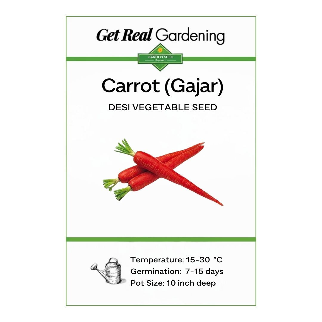 Carrot (دیسی گاجر کے بیج) – 300+ Seeds
