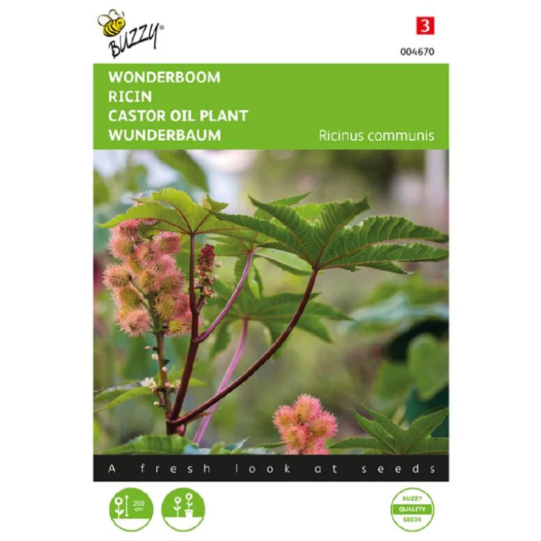 Castor Oil Seeds (imported Pack - Limited Stock)