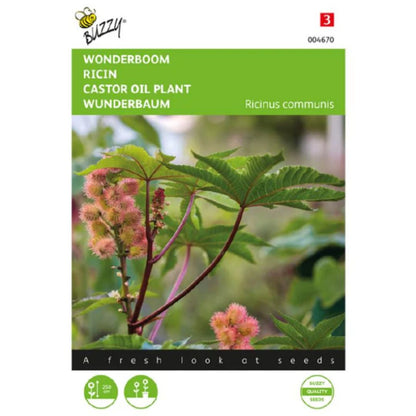 Castor Oil Seeds (imported Pack - Limited Stock)