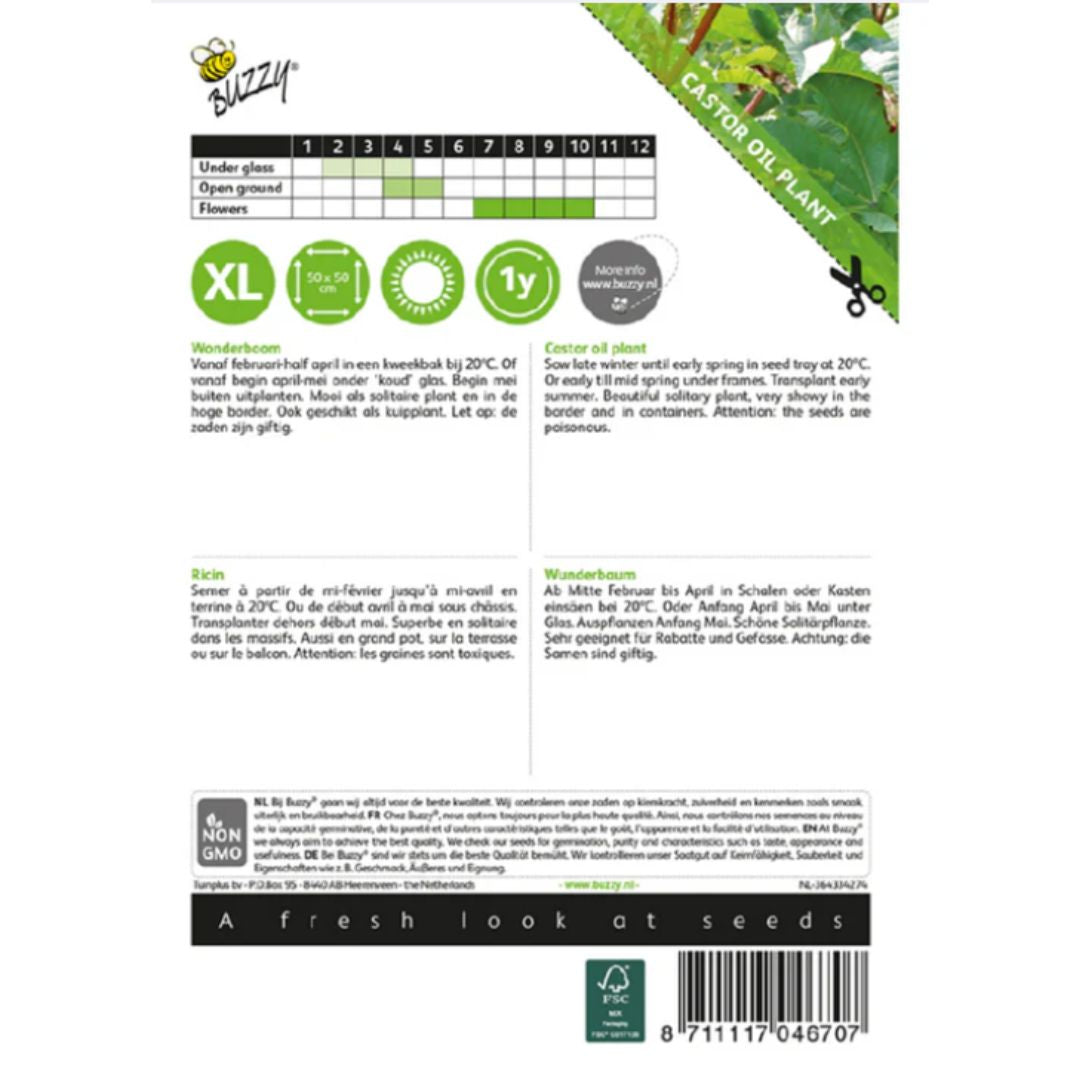 Castor Oil Seeds (imported Pack - Limited Stock)